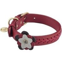 dosha dog wild rose and jade collection