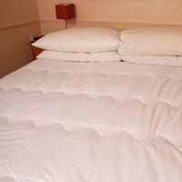 double anti allergy mattress topper