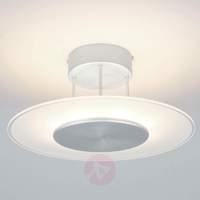 dora glass ceiling lamp with dimmable leds