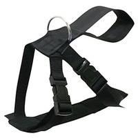 dog harness medium