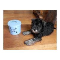 Dog Treats Enamel Storage Tin