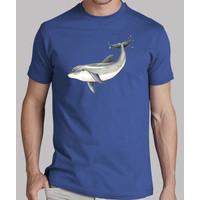 dolphin - man, manga short, royal blue, extra quality