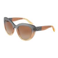 Dolce & Gabbana Sunglasses DG4287 307413