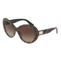 Dolce & Gabbana Sunglasses DG4295 199513