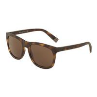 Dolce & Gabbana Sunglasses DG6102 302873