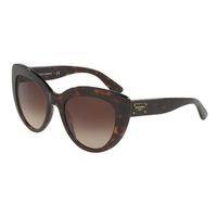 Dolce & Gabbana Sunglasses DG4287F Asian Fit 502/13