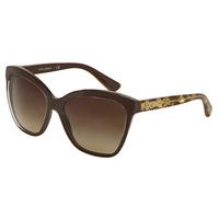 dolce gabbana sunglasses dg4251 gold leaf evolution 291813