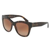 Dolce & Gabbana Sunglasses DG4270 502/13
