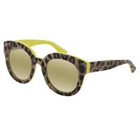 Dolce & Gabbana Sunglasses DG4235F Enchanted Beauties - Animalier Asian Fit 28616G