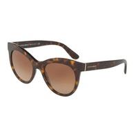 Dolce & Gabbana Sunglasses DG4311 502/13