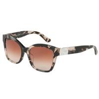 Dolce & Gabbana Sunglasses DG4309 312013