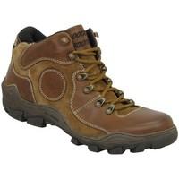 Dockers 296540 men\'s Walking Boots in Brown
