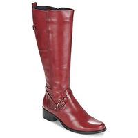 Dorking DULCE women\'s High Boots in red