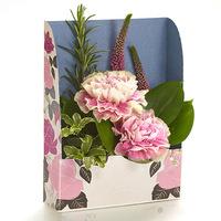 DP Vintage Pink