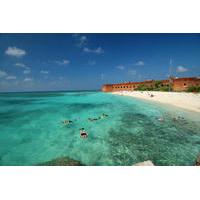 dry tortugas national park day trip by catamaran