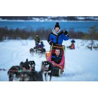 Drive a Husky Sled in Tromso