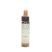 Dr Bach Gentian Bach Flower Remedy 10ml