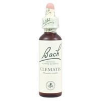 Dr Bach Clematis Bach Flower Remedy 10ml