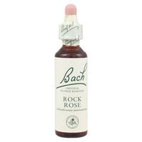 dr bach rock water bach flower remedy 10ml