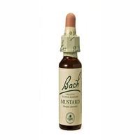 Dr Bach Mustard Bach Flower Remedy 10ml