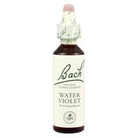 dr bach water violet bach flower rem 10ml