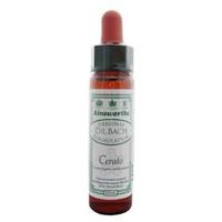 Dr Bach Cerato bach Flower Remedy 10ml