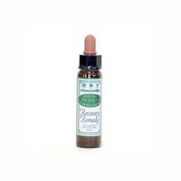 Dr Bach Bach Recovery Remedy 10ml