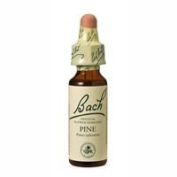 Dr Bach Pine Bach Flower Remedy 10ml