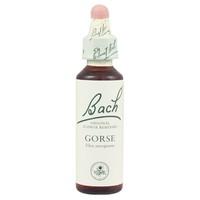 Dr Bach Gorse Bach Flower Remedy 10ml