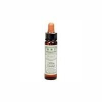 dr bach white chestnut bach flower rem 10ml