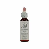 Dr Bach Chestnut Bud Bach Flower Rem 10ml