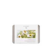 Dr. Hauschka Clarifying Face Care Kit