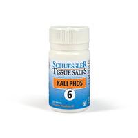 Dr. Schüssler Salts No. 6 Kali Phos, 125Tabs