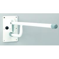 drop down toilet support rail