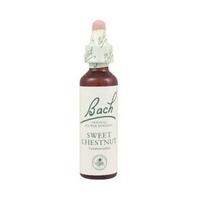 Dr Bach Sweet Chestnut Bach Flower Rem 10ml (1 x 10ml)