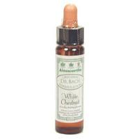 Dr Bach White Chestnut Bach Flower Remedy 10ml