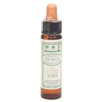 Dr Bach Gorse Bach Flower Remedy 10ml