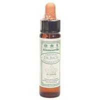 Dr Bach Sweet Chestnut Bach Flower Remedy 10ml