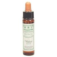 Dr Bach Walnut Bach Flower Remedy 10ml