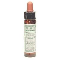 Dr Bach Honeysuckle Bach Flower Remedy 10ml