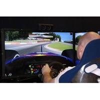 Driving Race Simulator Experience for One