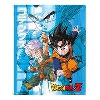 Dragon Ball Z Trunks And Goten - 16 x 20 Inches Mini Poster