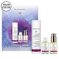 dr hauschka lavender tranquil body pack