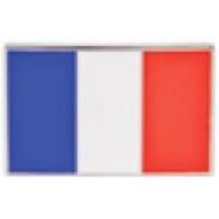 druh france flag belt buckle