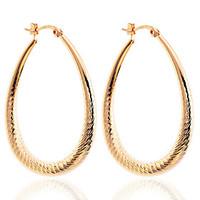 Drop Earrings Hoop Earrings Silver Plated Gold Plated Drop Silver Golden Jewelry Party Daily Casual 2pcs