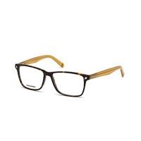 Dsquared2 Eyeglasses DQ5201 052