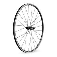 DT Swiss R24 Spline Alloy Rear Wheel (Updated Graphics) Performance Wheels