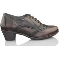 Dtorres Torres D model olivia very comfortable women\'s Smart / Formal Shoes in brown