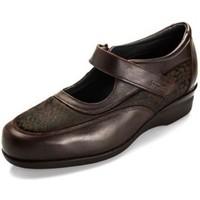 Dtorres BREMEN women\'s Shoes (Pumps / Ballerinas) in brown