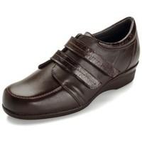 Dtorres D Torres narrow width model Diabcare special woman women\'s Shoes (Trainers) in brown